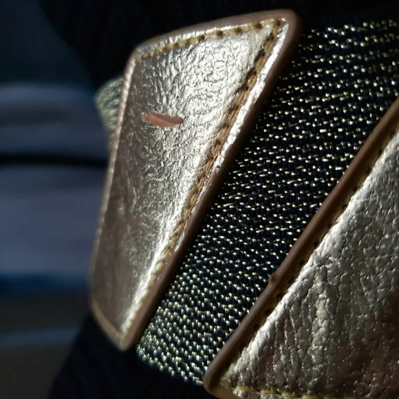 Elasticized Cinch Belt with Latch and Chain - Picture 6 of 16